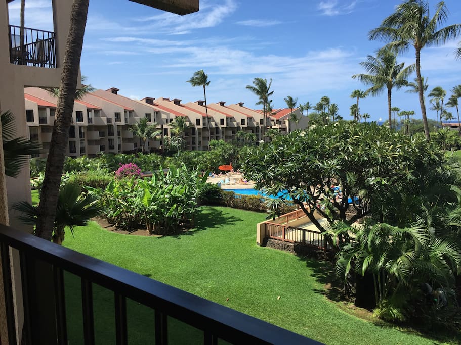 View from the Lanai