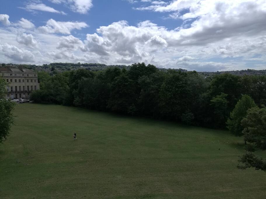 View