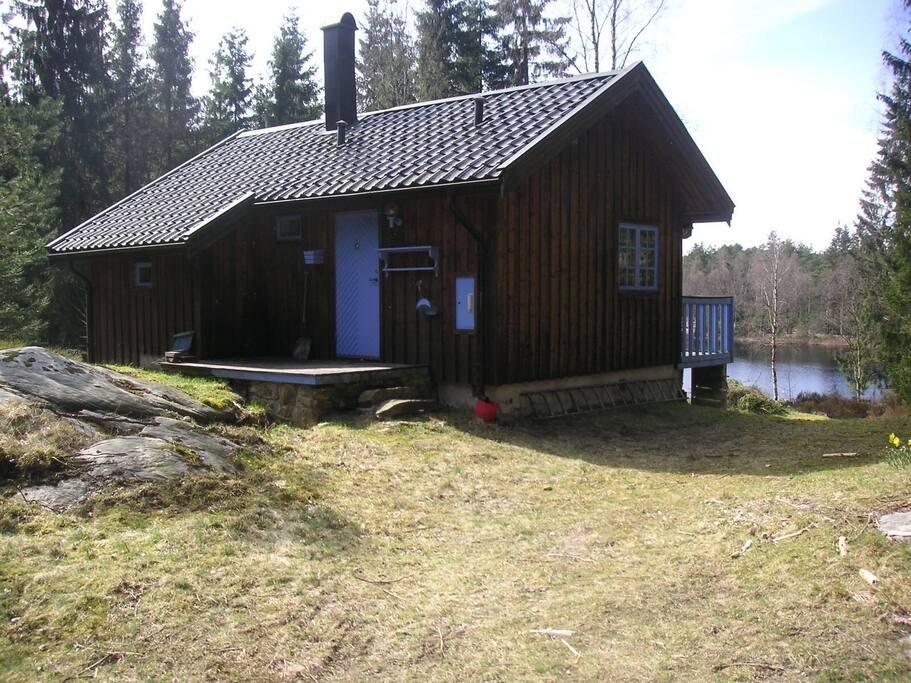 30 kvadratmeter i en skog!