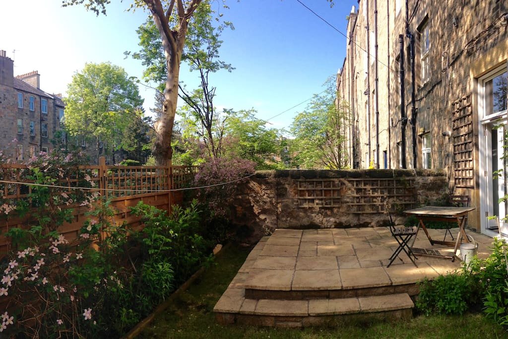 Back garden