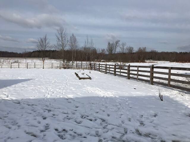 Apartment in countryside Philly NY