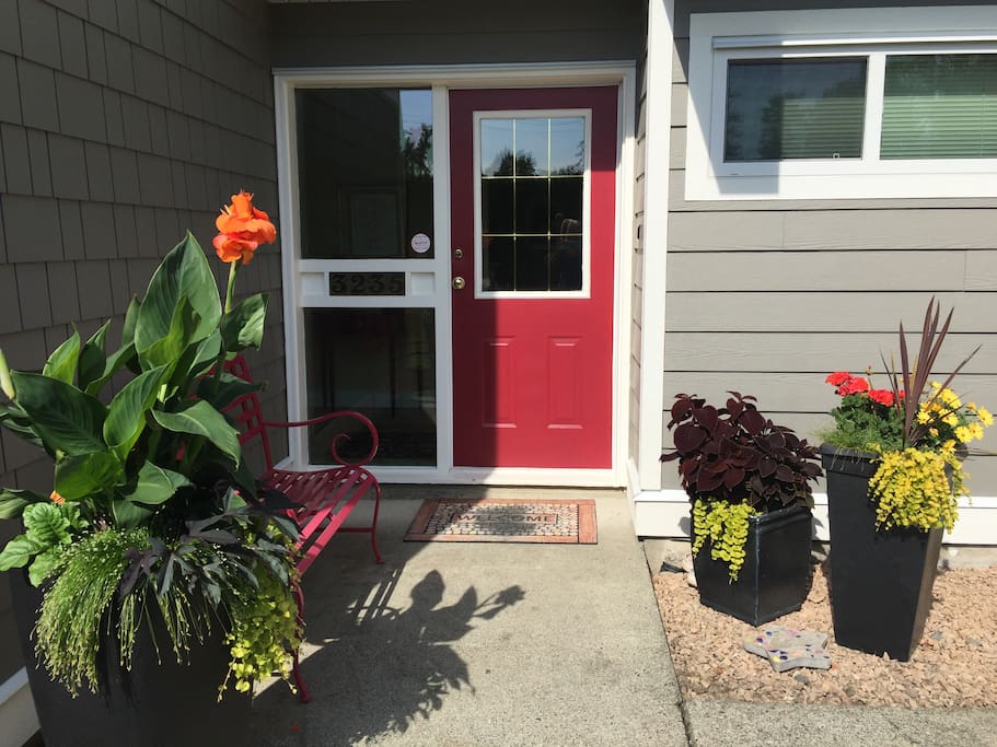 Inviting planter pots