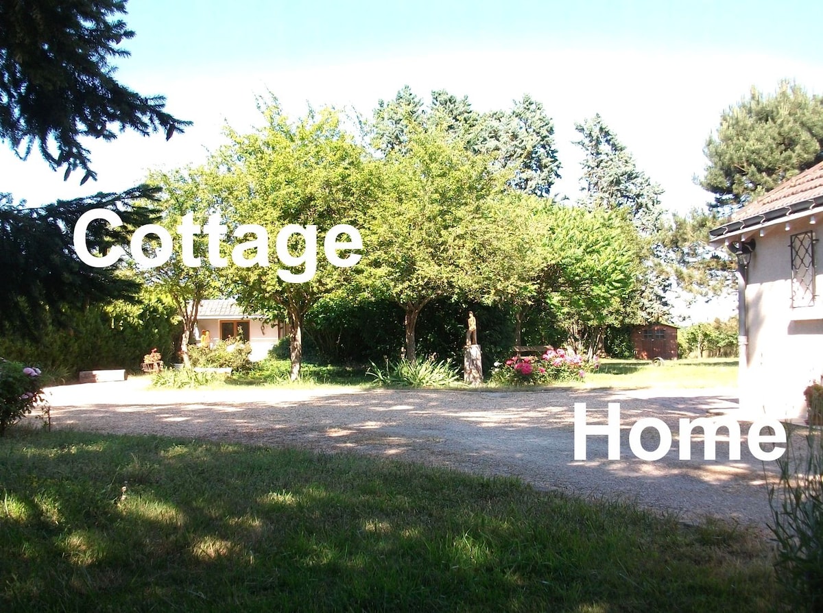 A spacious garden area is visible, featuring a gravel pathway leading to two separate buildings. Lush greenery and flowering plants surround the location, creating a natural setting. The scene is framed by tall trees, providing a sense of tranquility.