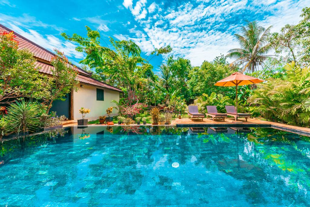 Pool & garden