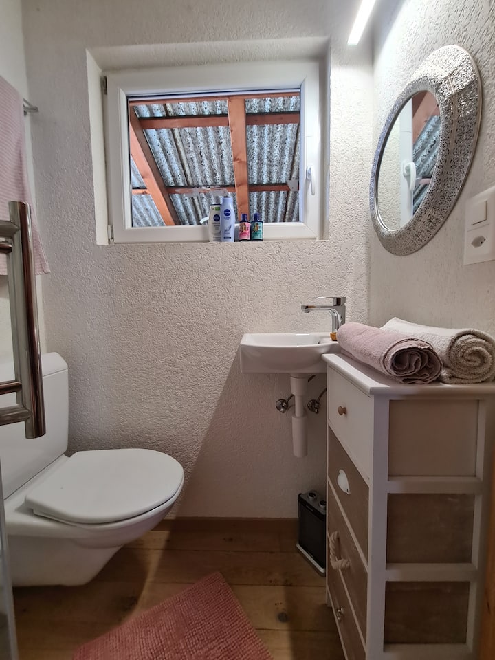 Cosy Et Rustique Guest House Avec Parking Privé - Canton of Valais