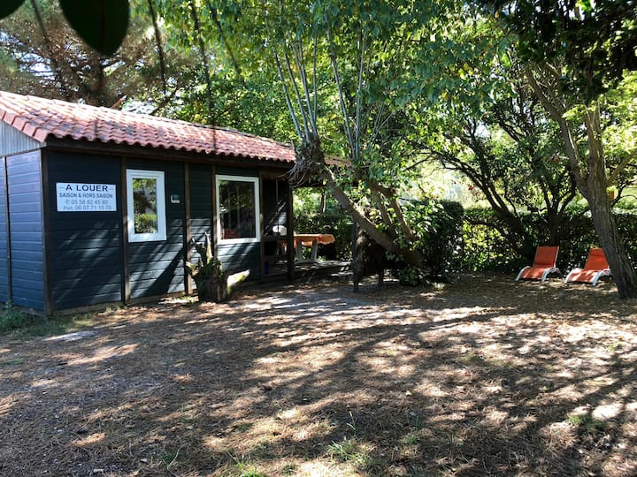 Chalet 1 Bois 400 Mètres Mer Jardin Clos - Mimizan