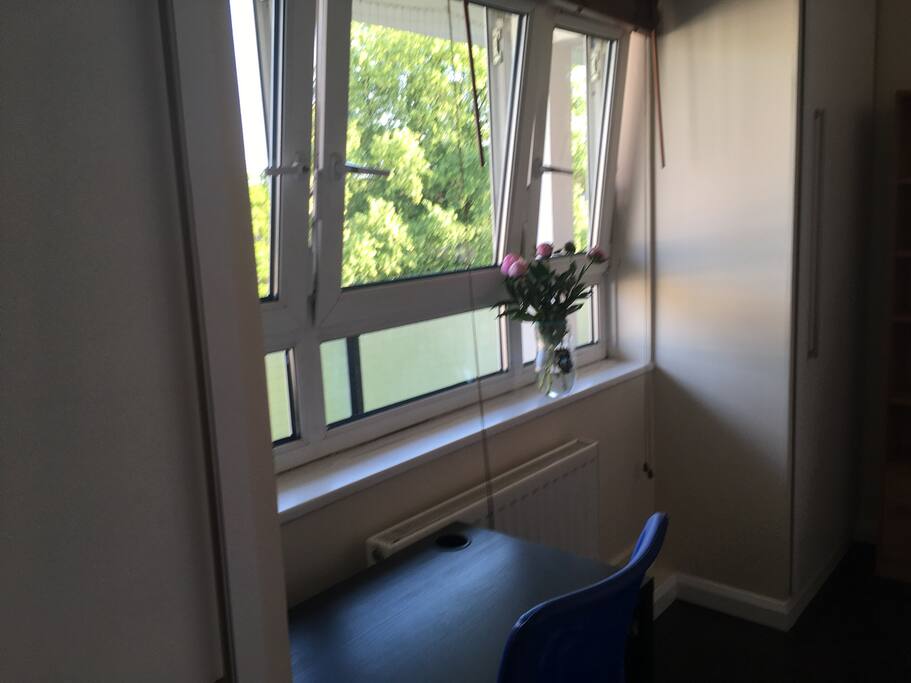 Big windows and lovely trees outside