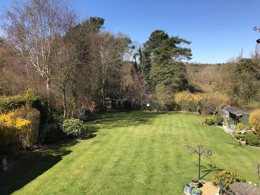 The Garden
