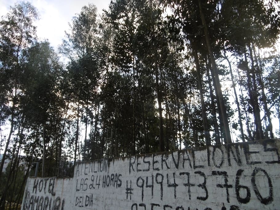 EN UN LUGAR DE ENCANTO LLENA DE ARBOLES Y UN RIO DENTRO DE LA NATURALEZA PARA LAS PERSONAS QUE BUSCAN PAZ T RANQUILIDAD VIVIR UNA EXPERIENCIA INOLVIDABLE