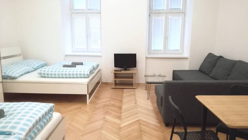 Downtown Apartment Viki