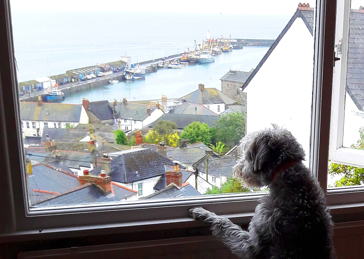 An interior view features a dog gazing out of a large window, observing the bustling fishing harbour below. The scene includes rooftops of houses and boats docked at the pier, with the serene sea in the background, creating a peaceful coastal atmosphere.