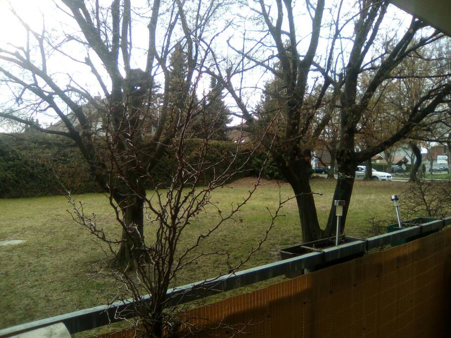 blick vom dazugehörigen Balkon