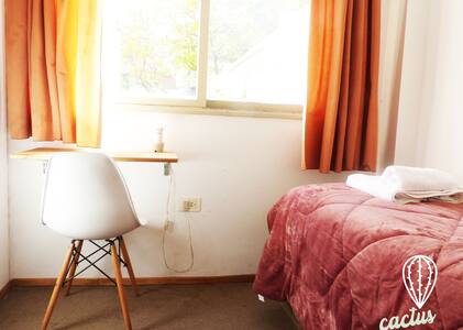 ♛CACTUS COLIVING Palermo♛ Single and Privat Room