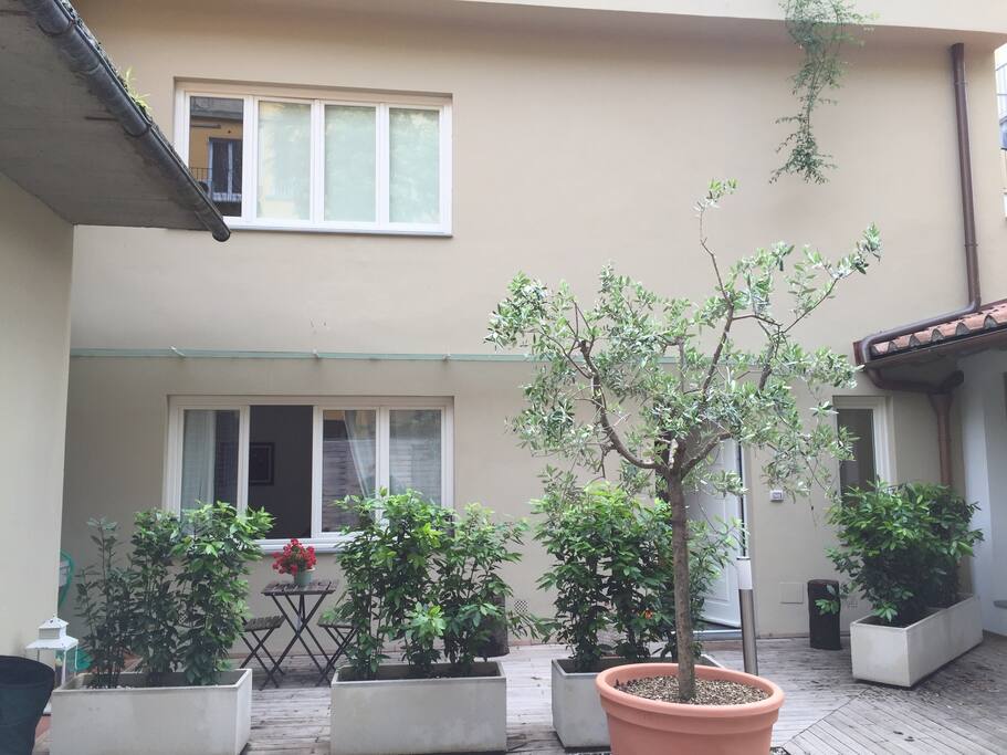 Front of the house