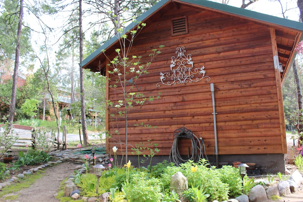 Garden view
