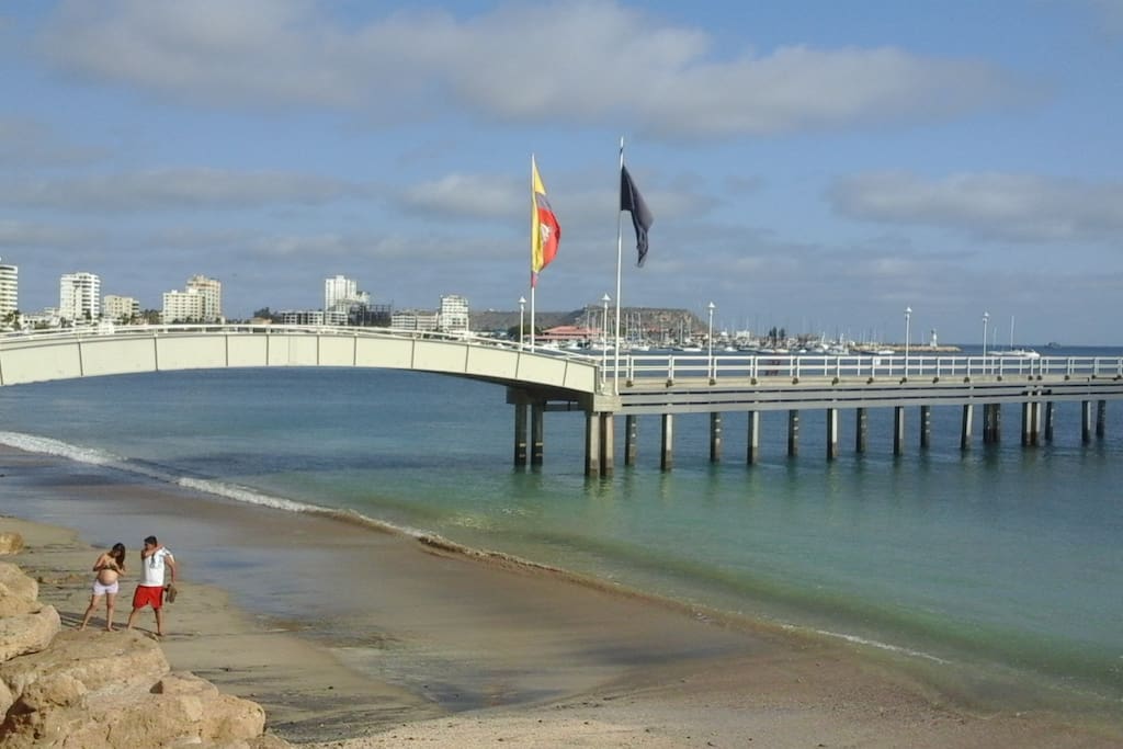 New Pier across from condo entrance
