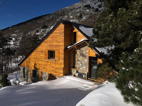 Quiet, Forest, Stream, Top View