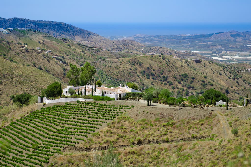 The Mediterranean Sea sprawls out on the horizon.