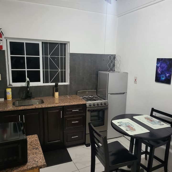 Quiet Apartment (Entire Unit) W Rental Car Access - Kingston