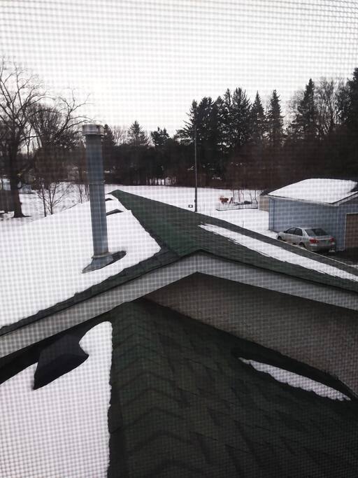 Backyard from upper hall.