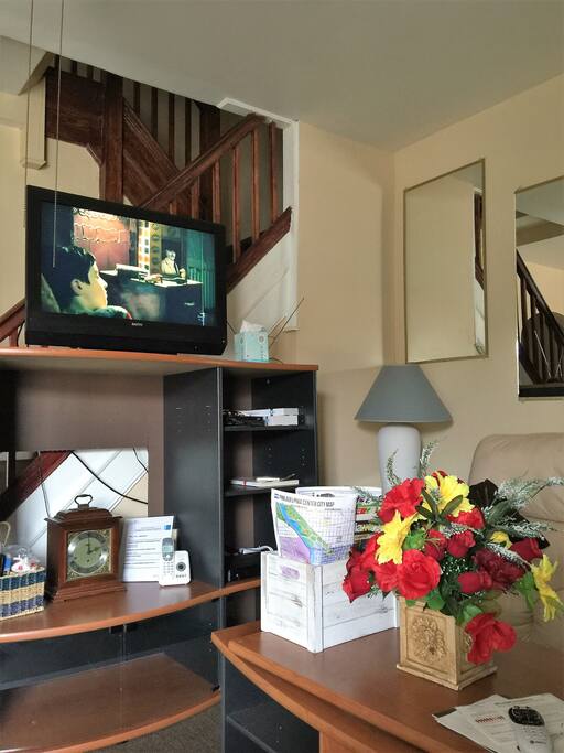 Living room with newer tv