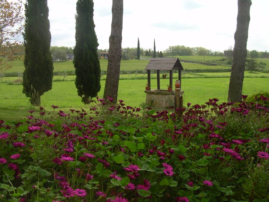 vista parco