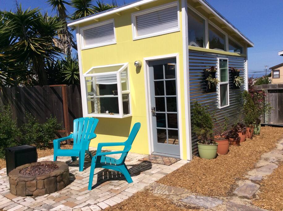Sunny yard surrounded by plants.