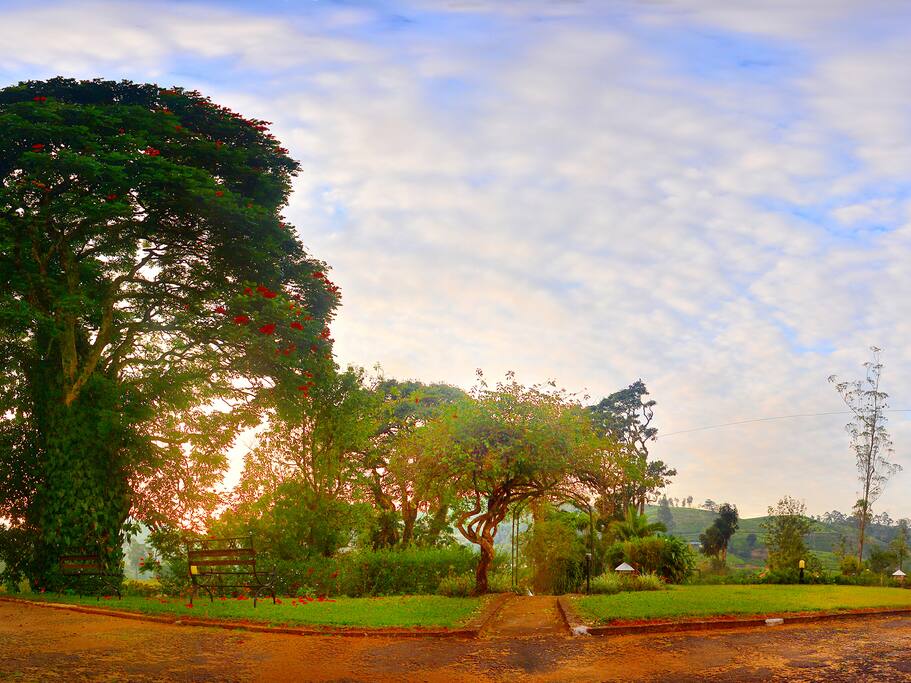 Bungalow grounds