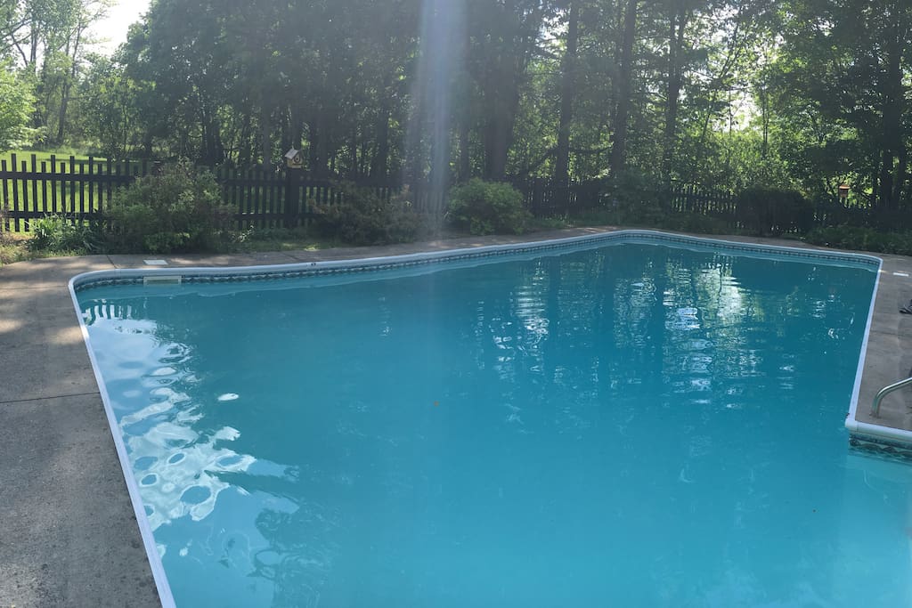 Enjoy our oversized in-ground pool surrounding by trees
