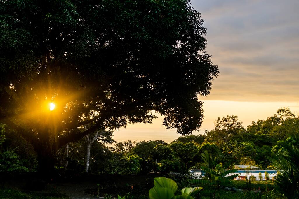 Our Tree of Life and the ocean beyond
