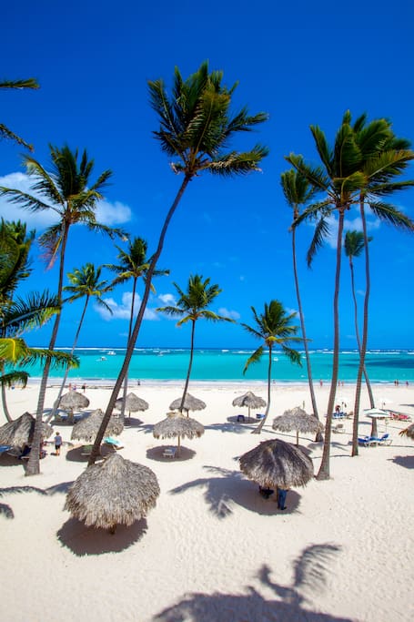 THE BEACH