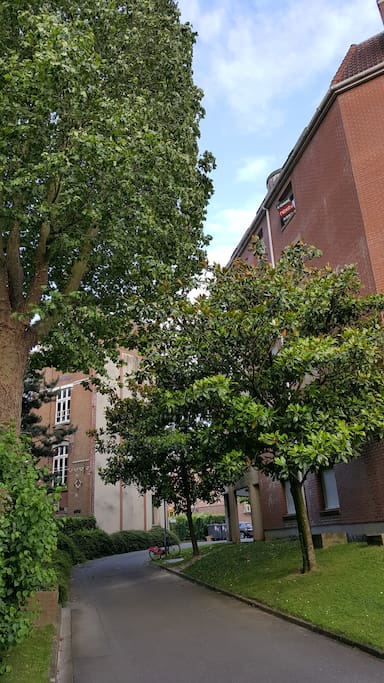 Calme absolu au coeur du pâté de maisons