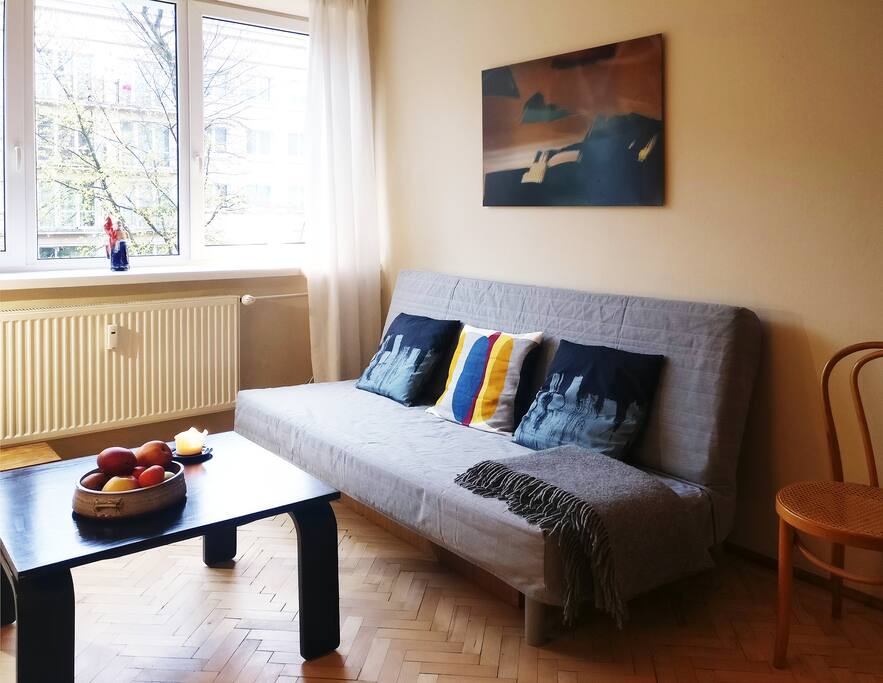 Pokój dzienny z rozkładaną sofą