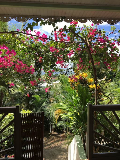 entrée de la villa sous l'arche de bougainvillées.