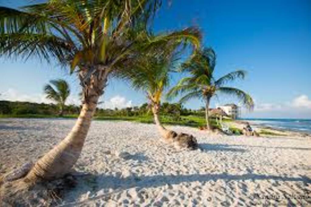 beach