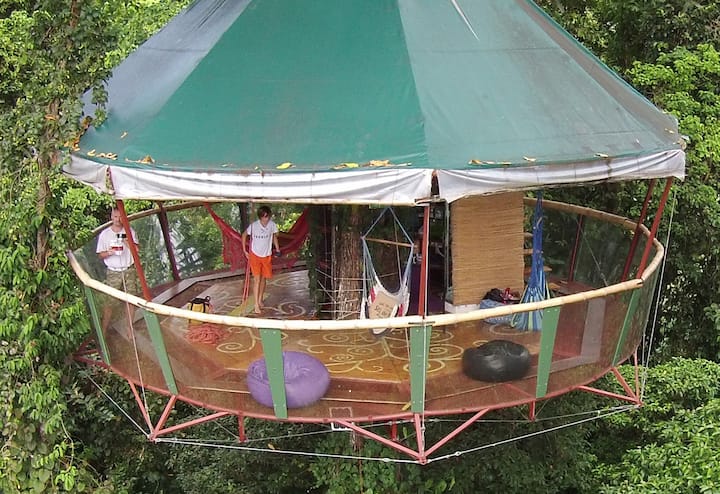 Treehouse Observatory Nature Observatory Treehouse Tours Manzanillo - Treehouses for Rent in ...