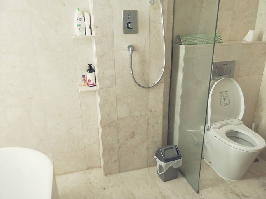 Ensuite master bathroom