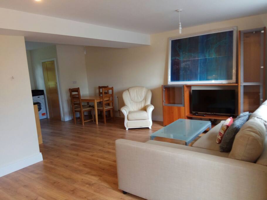 View of open plan apartment from entrance