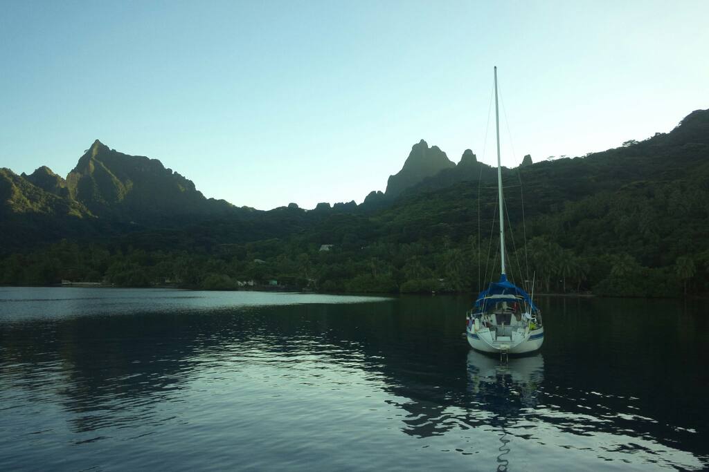 baie de haapiti, Moorea