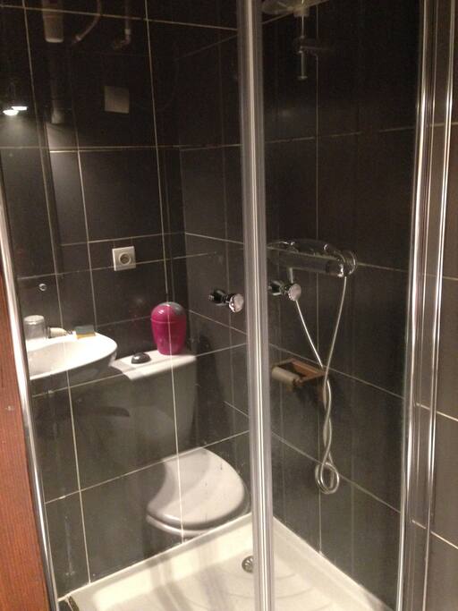 Salle de bain avec lavabo, douche et toilette