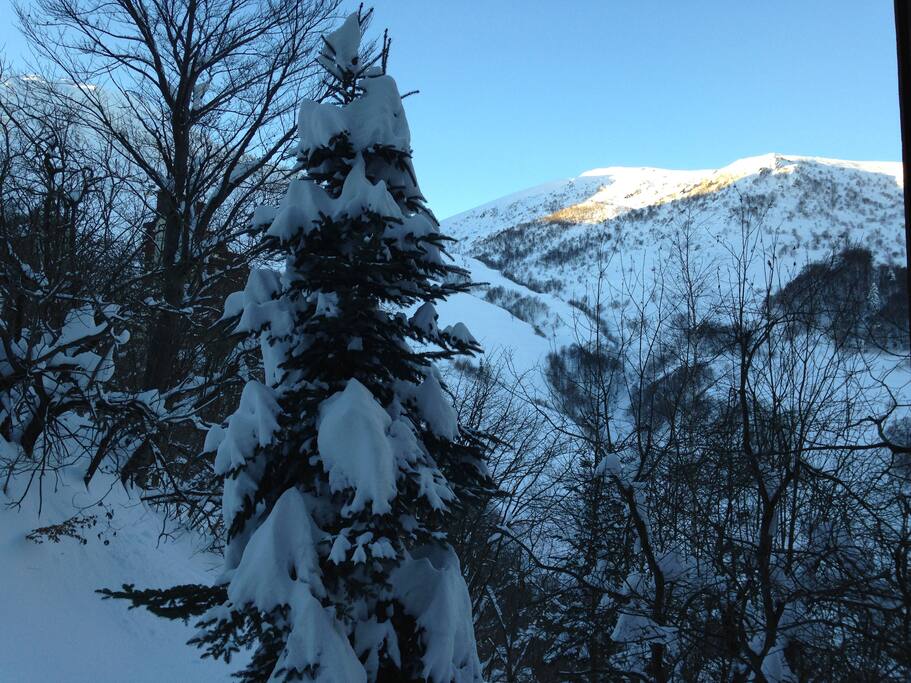 vista dalla finestra