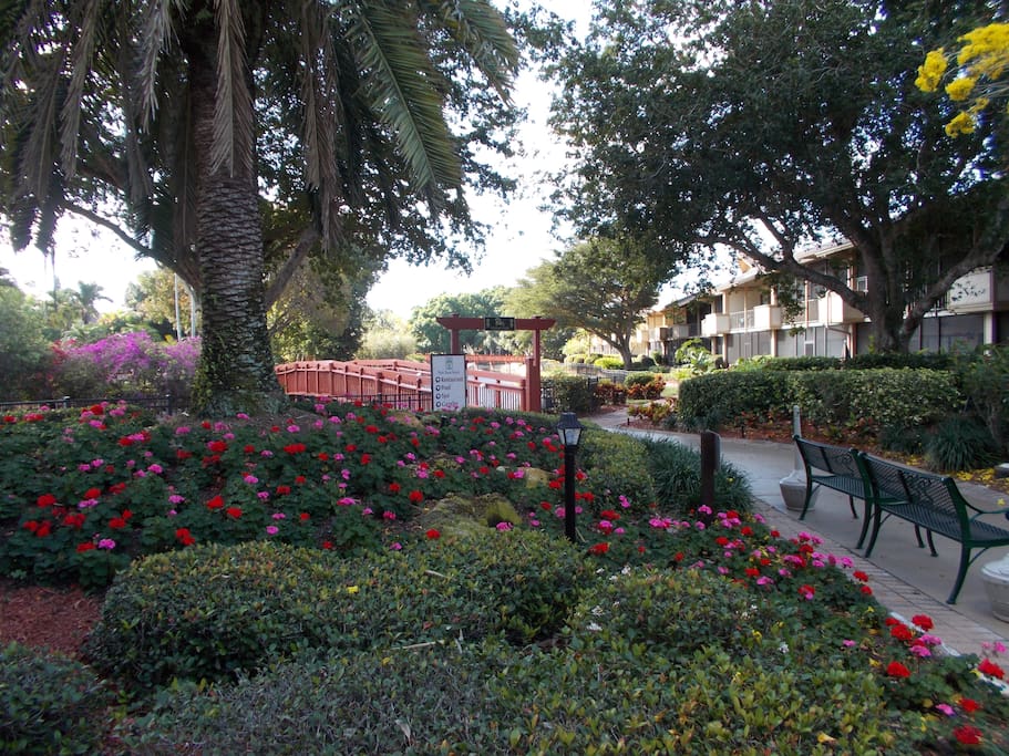 The Grounds