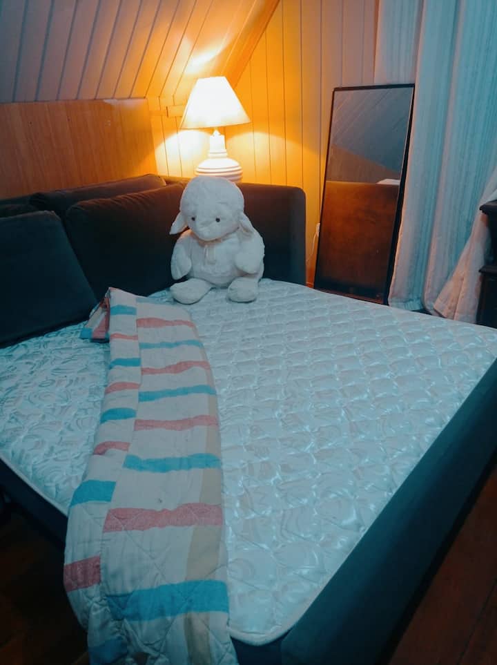 Წყვილი გასაშლელი დივანი!!