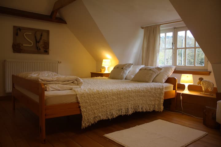 Habitación 1