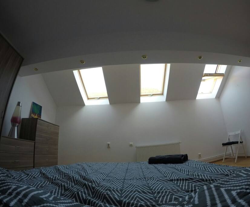 Bed view of the evergreen tree tops
