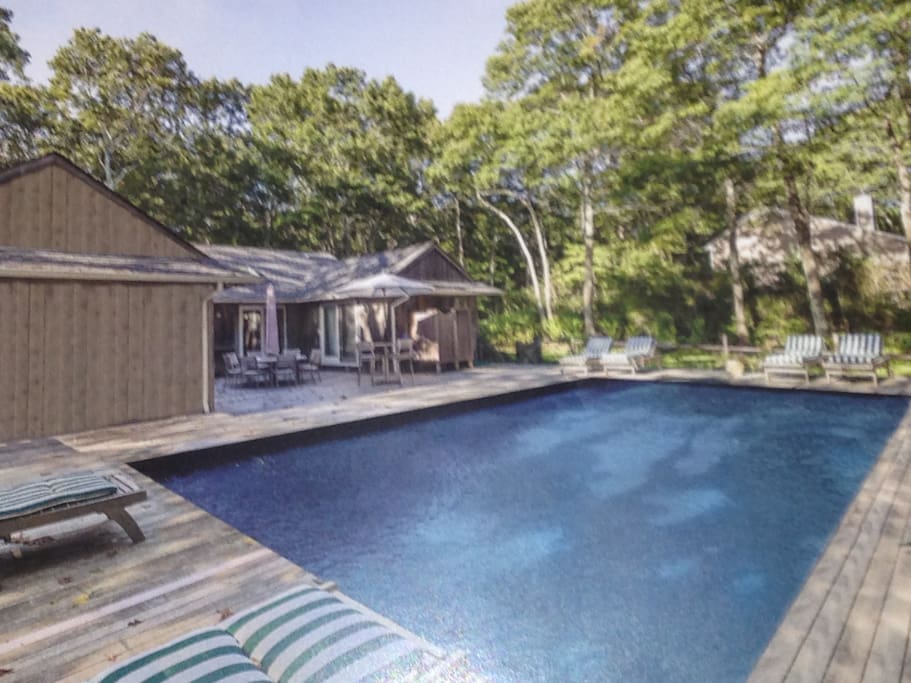 pool and backyard