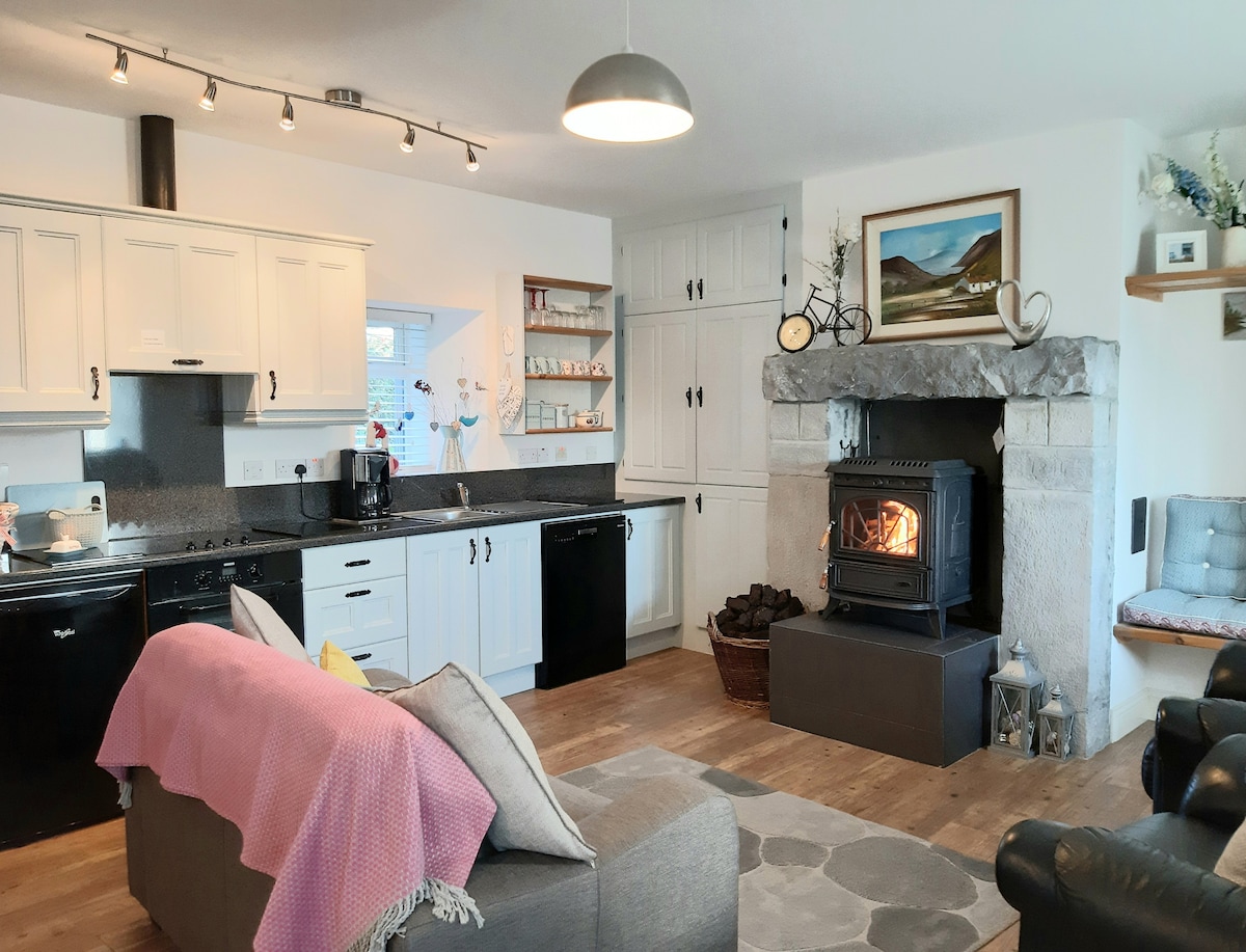 An open-plan living area is showcased, featuring a modern kitchen with dark countertops and white cabinetry. A stone fireplace with a multi-fuel stove is central to the space, complemented by comfortable seating. Natural light fills the room, highlighting wooden flooring.