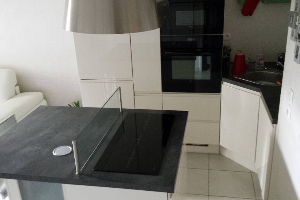 cuisine toute équipée (lave vaisselle, four, micro onde, plaques à induction, cafetière, hôte...)
