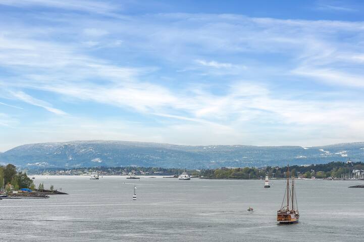 Blue Oasis-Exclucive apartment Oslo City gallery image 5