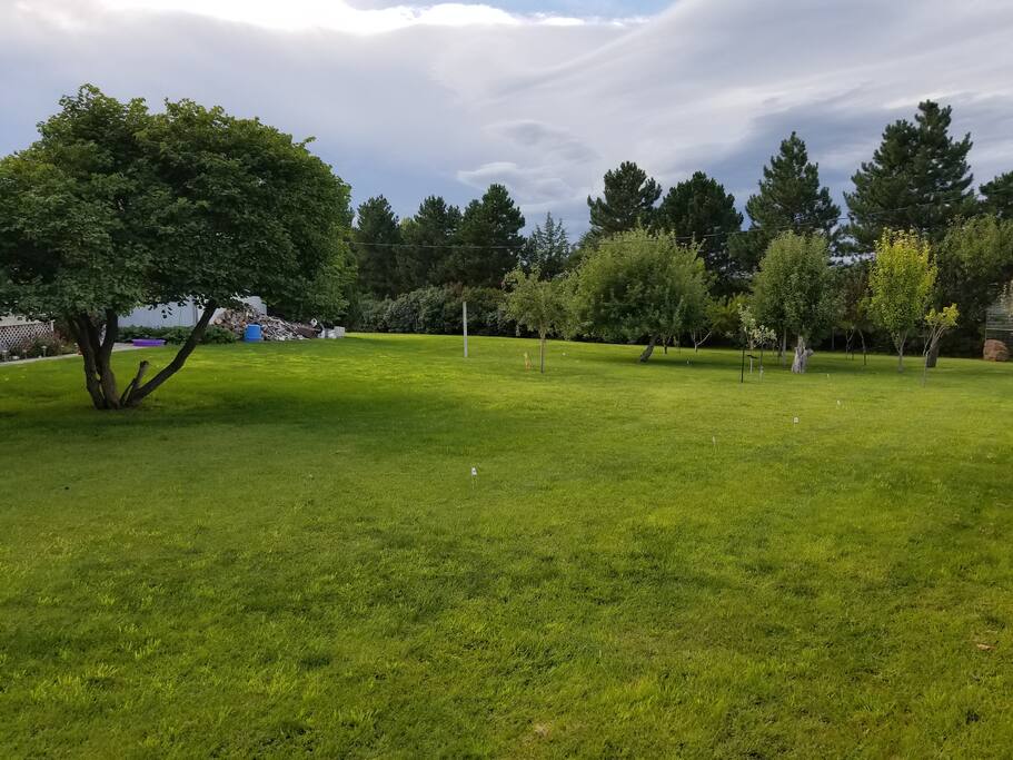 Country View